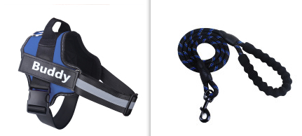 Fashion Simple Pet Leash Chest Strap Set (Option: Blue-XS)